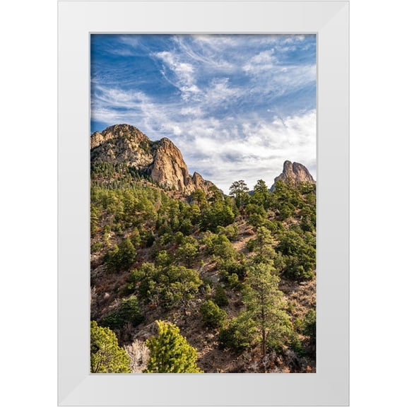 Jaynes Gallery 11x14 White Modern Wood Framed Museum Art Print Titled - USA-New Mexico-Sandia Mountains-Mountain and forest landscape