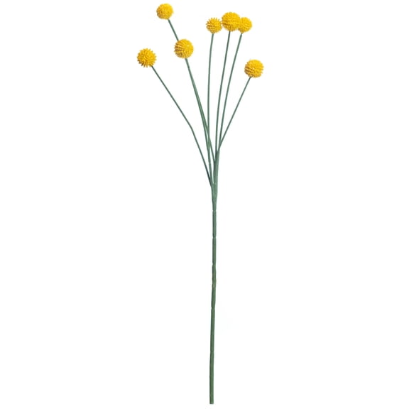 16 Pack: Yellow Billy Ball Stem by Ashland