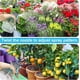 thumbnail image 3 of Plant Mister Spray Bottle Vickes Watering Can 600ML Vintage Water Spray Bottle for Plants, Plant Spritzer, 3 of 4
