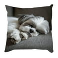 thumbnail image 2 of Rijanmt Dog Pillowcase Pet Photo Collection Cushion Cover,Printing Square Sofa Decorative Pillow Cover,Puppy Art Decorative Pillow Case,For Couch Sofa Bed Decor,Gift Idea For Dog Lovers,18*18",A, 2 of 6