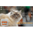 thumbnail image 4 of Lime Sulfur Pet Skin Cream, 4 of 7