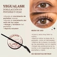 thumbnail image 3 of Kit Completo Yeguada La Reserva Shampoo + Colágeno + Yegualash | Fortalecimiento Del Cabello | Crecimiento de Pestañas Y Cejas | Restaura El Cabello Dañado., 3 of 7
