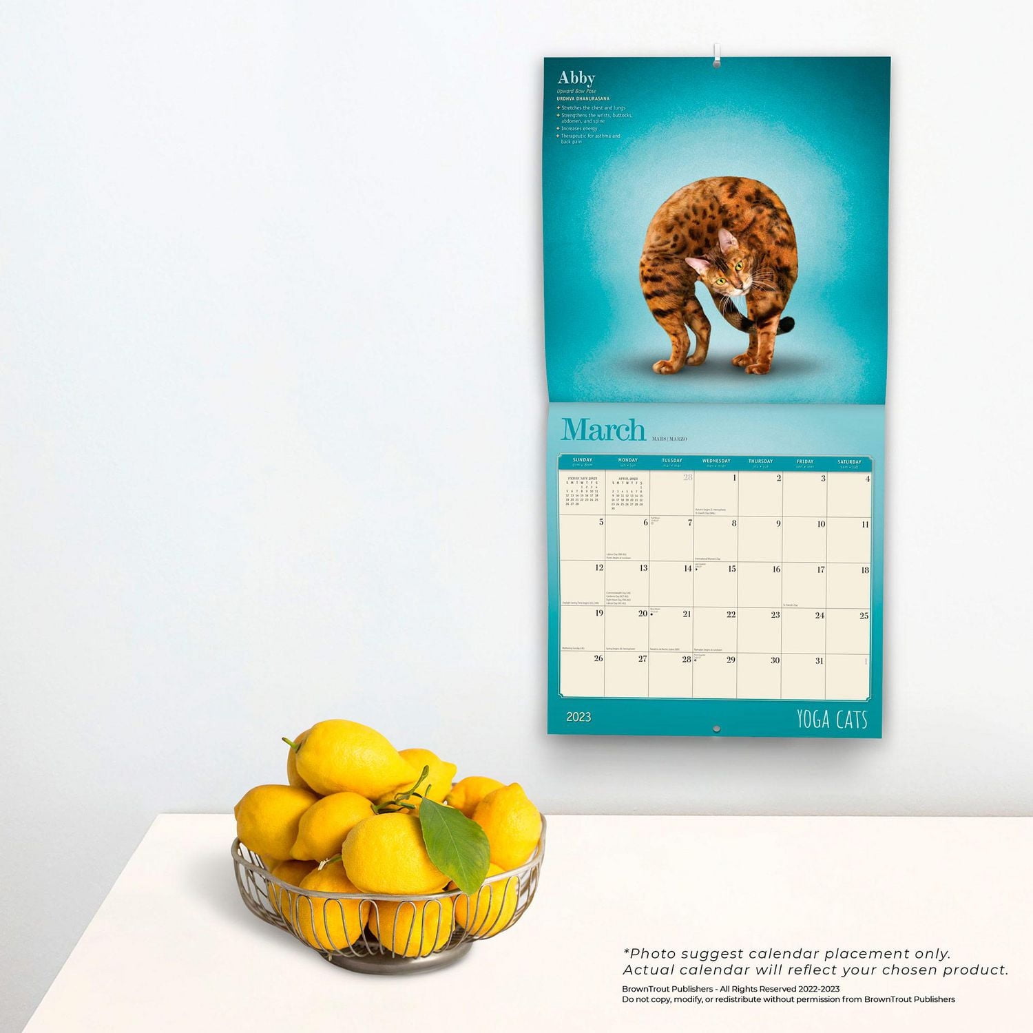 Yoga Cats 2023 Square