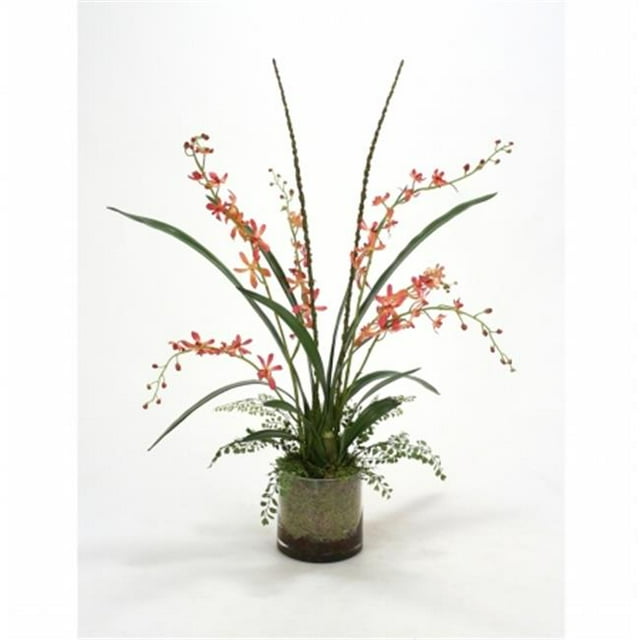 Distinctive Designs International 6054 Jardin d'Orchidées de Vanda de Corail dans un Bol Rond en Verre