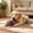 9#Purple, variant on Plush Squeaky Pet Toy for Cats Dogs, Soft Interactive Chew Companion Relieve Boredom, Anxiety Separation Relief Squeaker Teasing Toy, Multi Scene Cozy Play Training for Indoor Pets