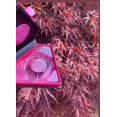 thumbnail image 2 of Adu Lashes, 2 of 2