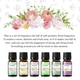 thumbnail image 4 of EUQEE 6Pcs Fragrance Oils Gift Set for Diffuser, Floral Essential Oils (10Ml), 4 of 12