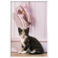 thumbnail image 2 of Tortoiseshell Cat Kitten with Ballet Shoes, Animals Figurative Framed Art Print Wall Art Sold by Art.Com, 2 of 5