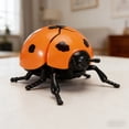 thumbnail image 6 of Fufafayo Realistic Interactive InsectToys, Educational Play Collection ForKids, Biology Learning Model, Plastic Insect Decor for Classroom Party Outdoor Indoor Use, 6 of 8