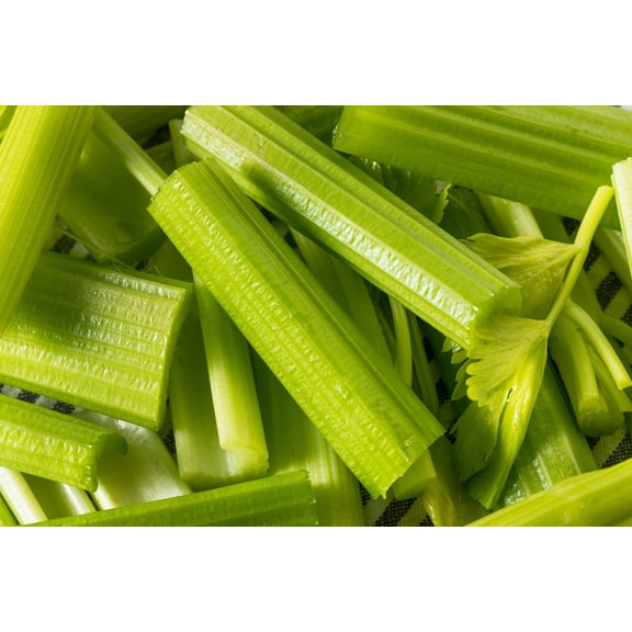 1000 Seeds TENDERCRISP CELERY Stalks & Leaves Apium Graveolens Vegetable Seeds