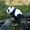 Handlebar style Vertical Panda, variant on Panda Bicycle Decoration Pendant for Handlebars and Frames - PP Cotton & Metal, 9.65 x 1.06 Inch Strap