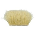 thumbnail image 5 of serony 1 Yard Teint en Autruche Franges Garniture Ruban Embellissement Beige, 5 of 5