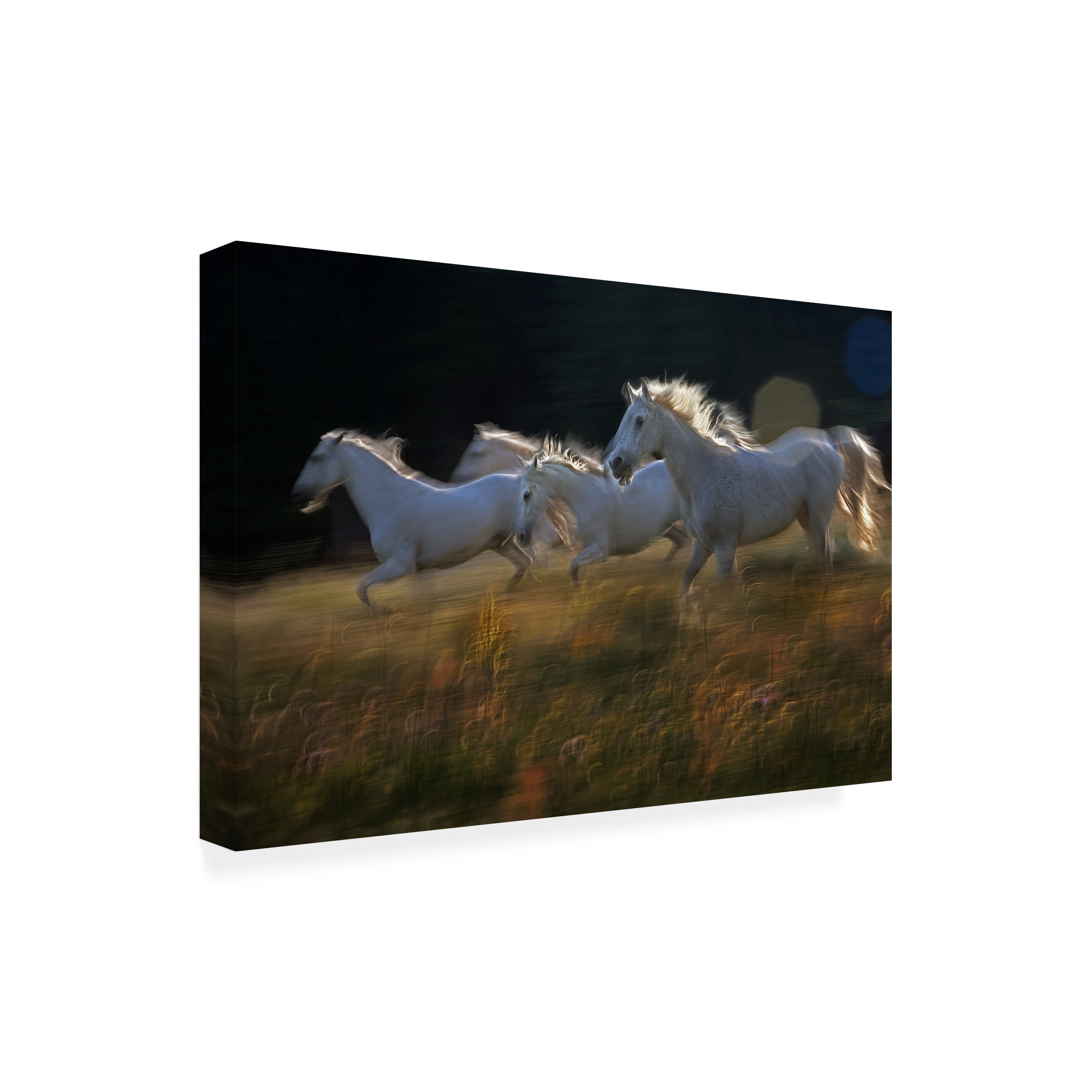 milan malovrh 'Riding The Field' Canvas Art