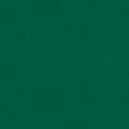 thumbnail image 2 of David Textiles Inc. 1.5 yard x 60" 100% Polyester Fleece Solid Precut Sewing & Craft Fabric, Green, 2 of 2