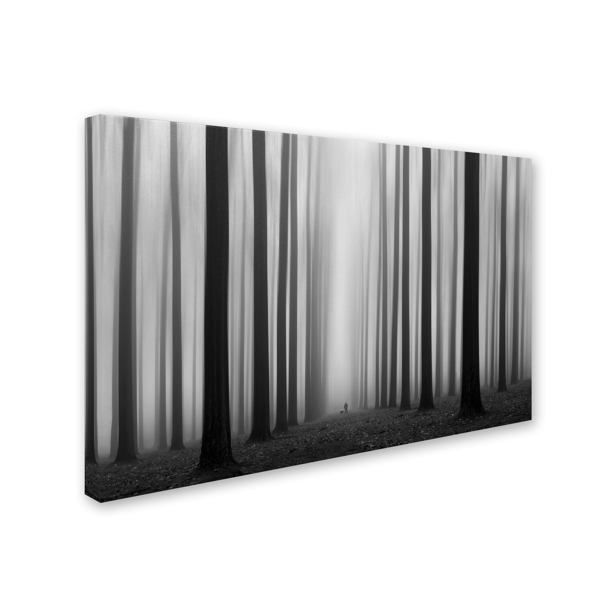 Jochen Bongaerts 'Labyrinth' Canvas Art