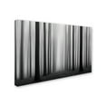 thumbnail image 2 of Jochen Bongaerts 'Labyrinth' Canvas Art, 2 of 3