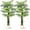 7FT, variant on 6ft Faux Tall Golden Cane Palm Tree with White Round Planter – Realistic Triple Golden Palm Indoor & Outdoor Artificial Tree-2PCS