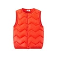 thumbnail image 2 of Godderr 2-10Y Kids Toddler Boys Girls Winter Cotton Vest Jacket Puffer Vest Outerwear Solid Solid Down Vest Sleeveless Down Cotton Waistcoat Vest Coat, 2 of 6