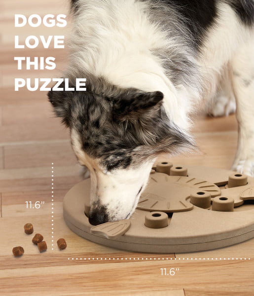 Outward Hound Dog Treat Maze Tap & Flip Treat Game! NEW