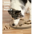 thumbnail image 6 of Outward Hound by Nina Ottosson Dog Worker Treat Puzzle Enrichment Toy, Level 3 Advanced, Tan, 6 of 8