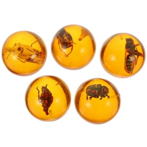 4pcs Insect Specimen Amber Resin Insects Amber Resin Crafts Decorative Bug Amber (Random Style)