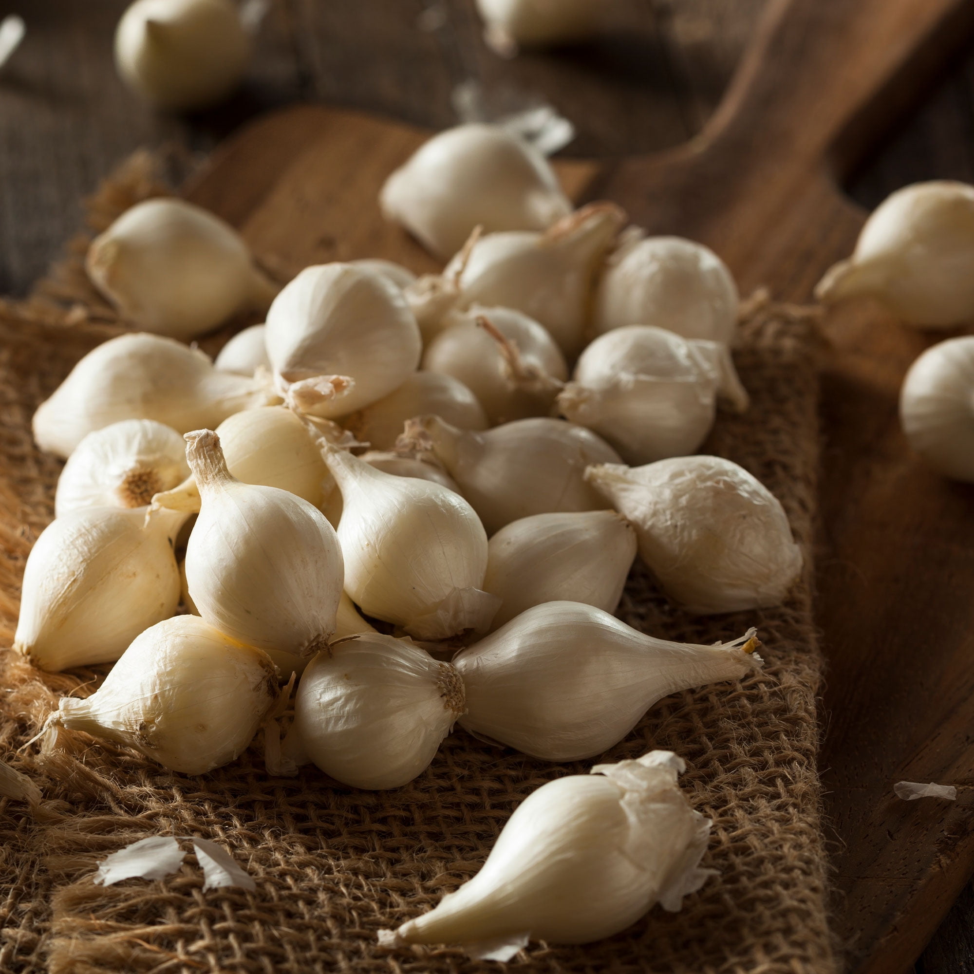 100 pcs White Garlic Seeds natural and organic Vegetable healthy bonsai seed 100 pcs White Garlic Seeds natural and organic Vegetable healthy bonsai seed
