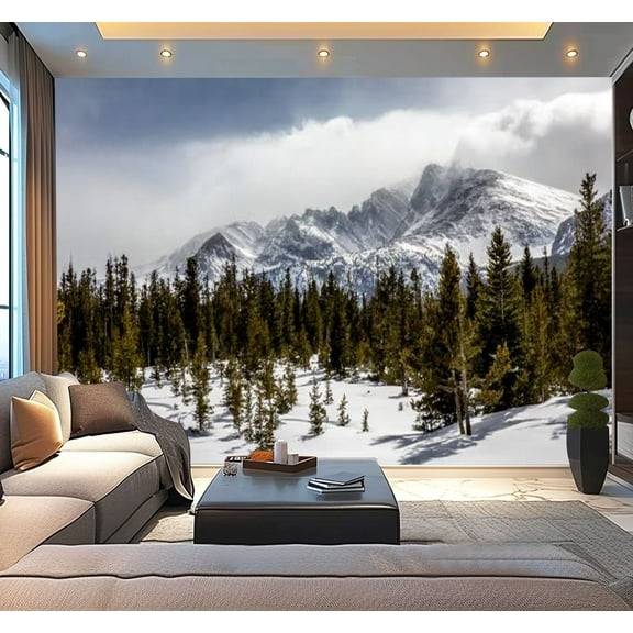 Peel and Stick Wallpaper Winter View Longs Peak Mountain Colorado Modern Art Wall Mural Decor Self Adhesive and Removable 100in x 144in