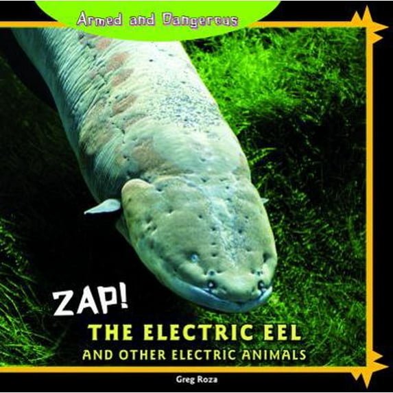 Pre-Owned Zap! the Electric Eel and Other Electric Animals (Library Binding) 1448825474 9781448825479