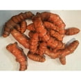 thumbnail image 1 of Fresh Organic Turmeric Root - 2 Lb Whole Raw Root by Fijian Spice Company, 1 of 7