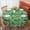 St. Patrick's Day-2, variant on St. Patrick's Day and Mustaches Round Tablecloth 60", Wrinkle-Resistant Wipeable Cover for Kitchen, Dining, Picnic & Patio