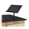 thumbnail image 1 of LabHand Desk-mountable, 1 of 1
