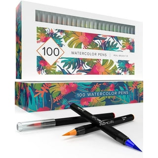 48 Colors Dual Tips Permanent Marker Pens Art Markers Set with Storage Box  