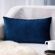 thumbnail image 1 of Fundas de almohada de terciopelo Cterwk con cremallera, fundas de almohada de lujo súper suaves para sofá cama, 1 of 6
