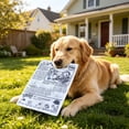 thumbnail image 2 of Crinkle Newspaper Dog Chew Toy, Interactive Squeaky Paper-Style Toy, Durable Crinkle Fabric Toy for Dogs to Bite, Tear and Relieve Boredom, 2 of 8