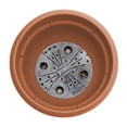 thumbnail image 6 of Bloem Ariana 12" Self-Watering Plastic Planter - Rolled Rim Indoor/Outdoor Garden Pot, Terra Cotta, 2-Pack, 6 of 8