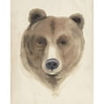 thumbnail image 3 of Popp, Grace 15x18 Black Modern Framed Museum Art Print Titled - Watercolor Animal Study VI, 3 of 5