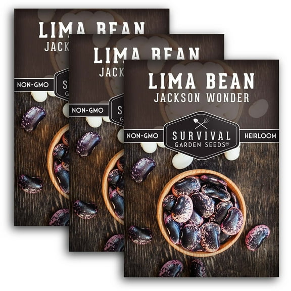 3 Packs Jackson Wonder Lima Bean Seeds - Non-GMO Heirloom Full Sun Annual Vegetable