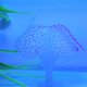 thumbnail image 2 of Silicona Artificial Coral Planta Decoración De Acuario Pecera Púrpura Yinane none, 2 of 8
