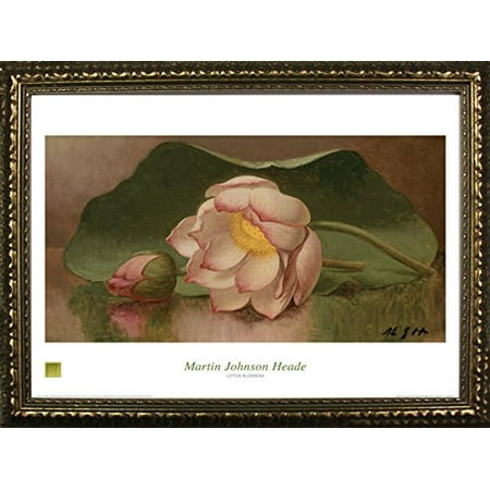 - buyartforless FRAMED Lotus Blossom, 1885-95 by Martin Johnson Heade 24x32 Art Print Poster Famous Painting Floral Still Life Pink Flower From Museum of Fine Arts Boston Collection