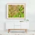 thumbnail image 5 of Tiny Dragonfly - Photography Dragonfly Insect Nature Wildlife Botanical Floral Garden Unframed Wall Art Print 6 x 8 inches, 5 of 6