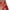 1Red, variant on Drses Womens Summer Tops Women's Plus Size Top Short Sleeved Basic Printed Casual Round Neck T-shirt Wide Hem Large Cotton Shirt Tops for Women Trendy