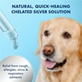 PetSilver Cough & Immune, Kennel Cough, Dog Allergy Relief, Respiratory