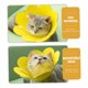 thumbnail image 4 of Collar Blando Postoperatorio for Perros Y Gatos, 2 Unidades, 4 of 6