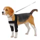 thumbnail image 1 of Rodillera Venda De Recuperacion Lesion Para Perro Delantera, 1 of 6