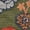 Green/Blue, variant on Safavieh Jardin Lecia Floral Area Rug, Ivory/Green, 5' x 8'