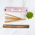 thumbnail image 3 of Varillas de incienso Satya Nag Champa Positive Vibes, paquete de 12, 3 of 5