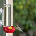thumbnail image 4 of Perky-Pet Red Window Mounted Glass Hummingbird Feeder - 14 oz Capacity, 4 of 12