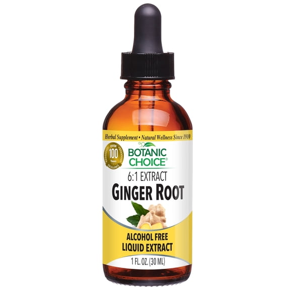 Botanic Choice Ginger Root Extract Liquid, Digestive & Stomach Support , Gluten-free, Non GMO, Alcohol free Herbal Health Supplements- 1 Fl Oz