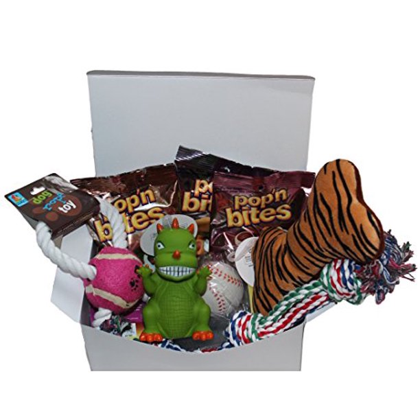 Good Dog Care Package New Pet Gift box