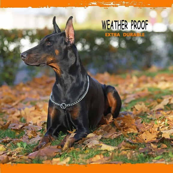 Dog Prong Collar, Dog Training Collar with Quick Release Buckle, Anti Choking, Pinch Training Collar for Small Medium Large Dogs, Adjustable Stainless Steel Links（3.5mm*60cm）